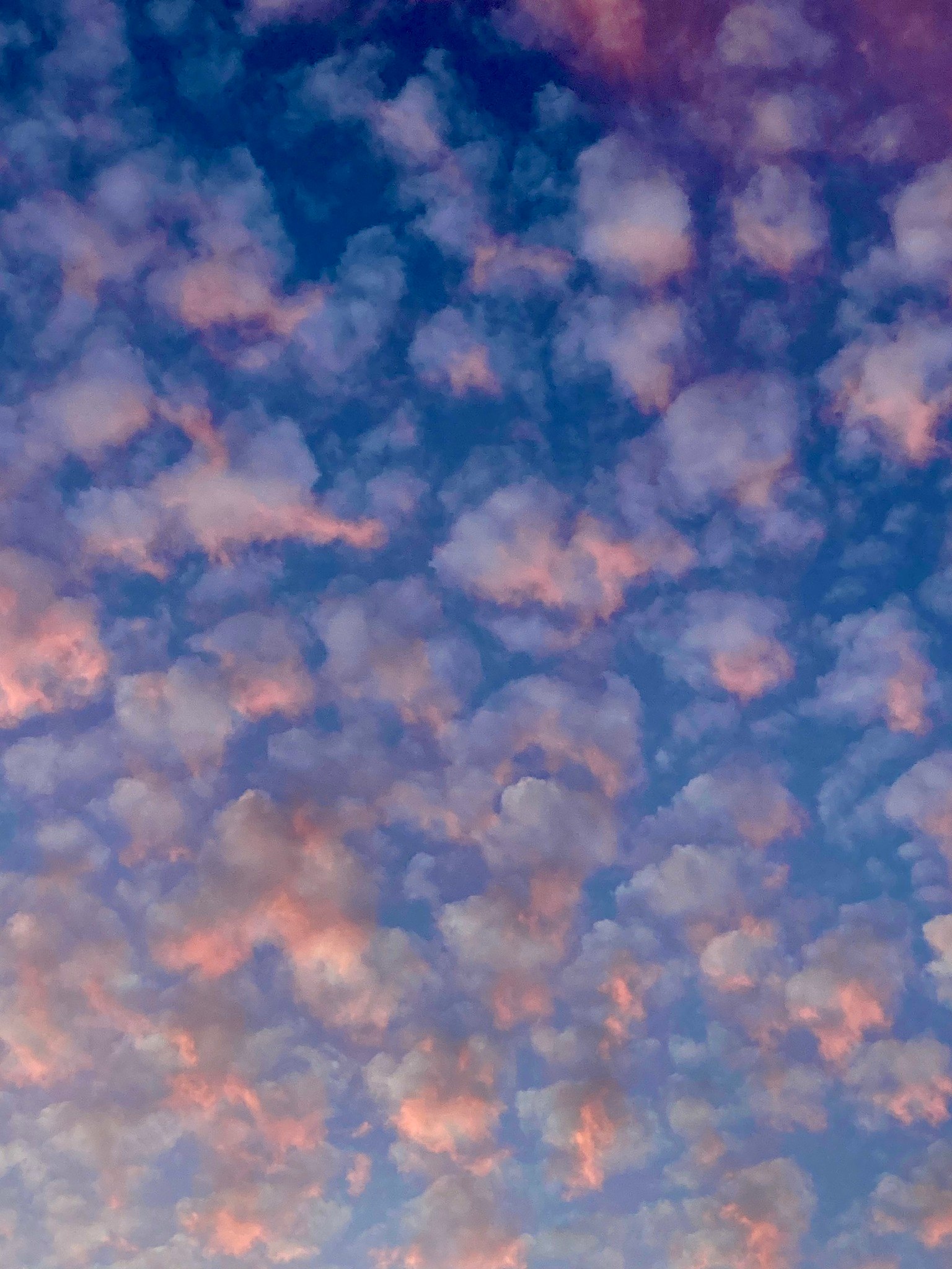 Cloudy sky with purple sunset